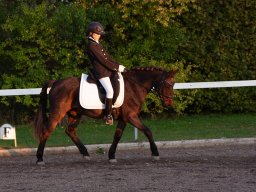 IMG_8093_web